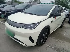 2025 BYD Dolphin Smart Driving 410km Fashion — фото 1