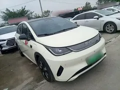 2025 BYD Dolphin Smart Driving 410km Fashion — фото 4