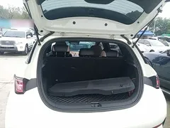 2025 BYD Dolphin Smart Driving 410km Fashion — фото 19