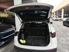 2023 Geely Coolray 1.5T DCT Diamond, белый — фото 19