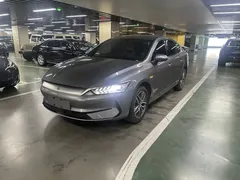 2024 BYD Qin PLUS Honor EV 510km Leading — фото 1