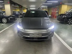 2024 BYD Qin PLUS Honor EV 510km Leading — фото 3