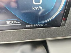 2024 BYD Qin L PHEV 120km Leading — фото 8
