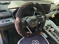 2021 Geely Preface 2.0TD Luxury — фото 3