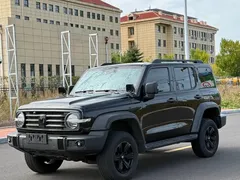 2021 Tank 300 Off-road 2.0T Conqueror, чёрный — фото 1