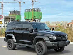 2021 Tank 300 Off-road 2.0T Conqueror, чёрный — фото 3