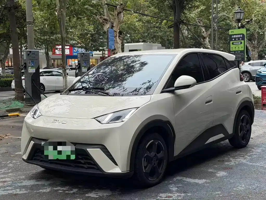 2024 BYD Seagull Honor 305km Vitality