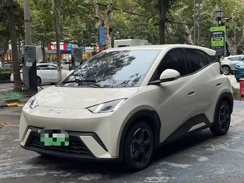 2024 BYD Seagull Honor 305km Vitality