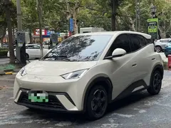 2024 BYD Seagull Honor 305km Vitality — фото 1