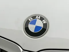 2021 BMW 3 Series 325Li xDrive M Sport Package, белый — фото 25