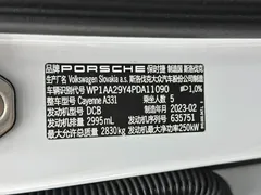 2023 Porsche Cayenne 3.0T Platinum Edition, белый — фото 25