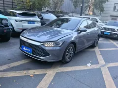 2024 BYD Qin PLUS Honor DM-i PHEV 55km Leading — фото 1