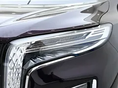 2024 Hongqi HQ9 2.0T Luxury — фото 9