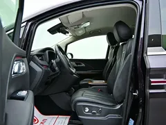 2024 Hongqi HQ9 2.0T Luxury — фото 13