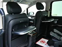 2024 Hongqi HQ9 2.0T Luxury — фото 17