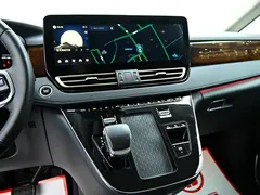 2024 Hongqi HQ9 2.0T Luxury — фото 21