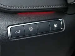 2024 Hongqi HQ9 2.0T Luxury — фото 29