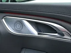 2024 Hongqi HQ9 2.0T Luxury — фото 32