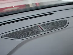 2024 Hongqi HQ9 2.0T Luxury — фото 42