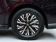 2024 Hongqi HQ9 2.0T Luxury — фото 45