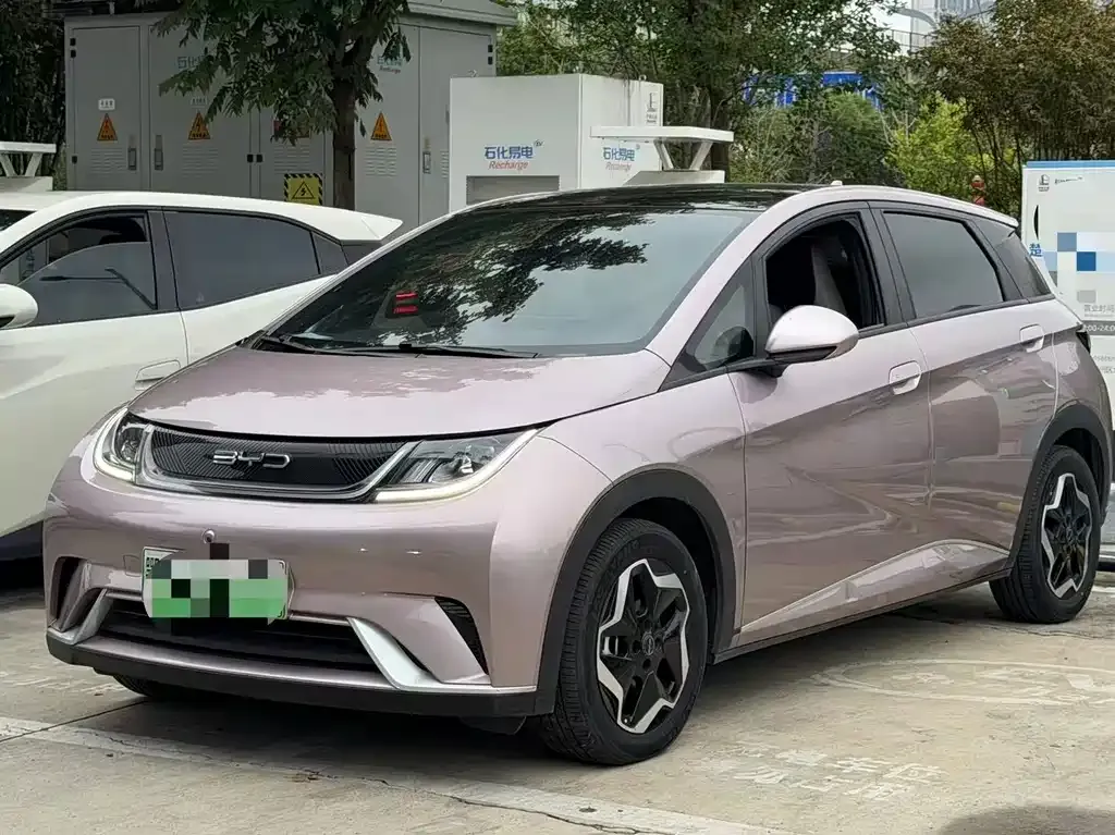 2021 BYD Dolphin EV 405km Freedom