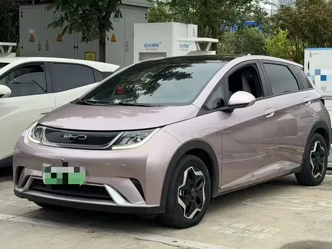 2021 BYD Dolphin EV 405km Freedom