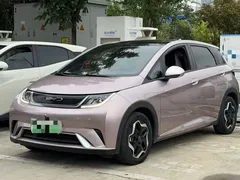 2021 BYD Dolphin EV 405km Freedom — фото 1