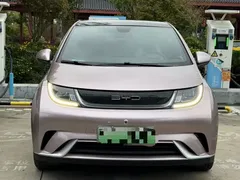 2021 BYD Dolphin EV 405km Freedom — фото 2