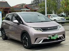 2021 BYD Dolphin EV 405km Freedom — фото 3
