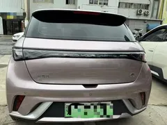 2021 BYD Dolphin EV 405km Freedom — фото 6