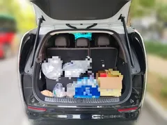2024 Li Auto MEGA Ultra, белый — фото 20