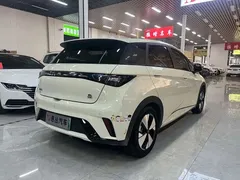 2023 BYD Dolphin 420km Fashion, белый — фото 7