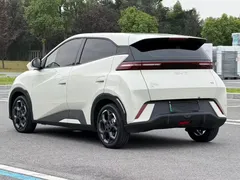 2024 BYD Seagull EV 305km Honor Freedom, белый — фото 3