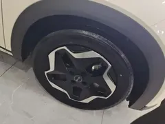 2025 BYD Dolphin EV 420km Active, белый — фото 6