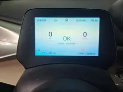 2025 BYD Dolphin EV 420km Active, белый — фото 14