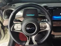 2025 BYD Dolphin EV 420km Active, белый — фото 15