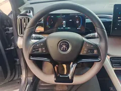 2023 BYD Song Pro Champion DM-i PHEV 71KM Leading — фото 15