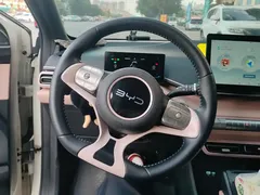 2025 BYD Seagull 305km Freedom, белый — фото 15