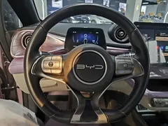 2023 BYD Dolphin 420km Fashion — фото 5