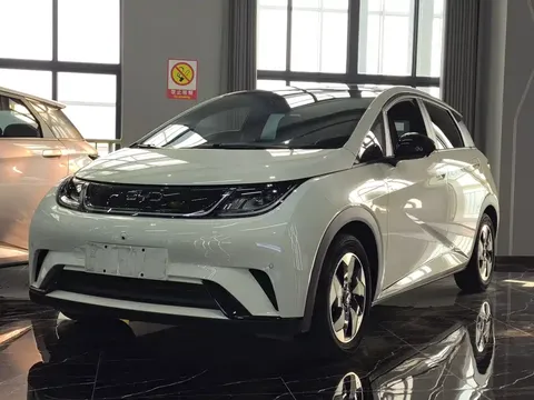 2025 BYD Dolphin 420km Fashion