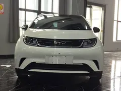 2025 BYD Dolphin 420km Fashion, белый — фото 2