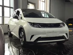 2025 BYD Dolphin 420km Fashion, белый — фото 3