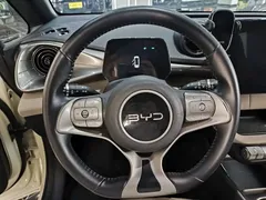2025 BYD Dolphin 420km Fashion, белый — фото 5