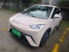 2025 BYD Seagull 305km Vitality — фото 1