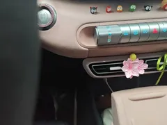 2025 BYD Seagull 305km Vitality — фото 10