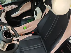 2025 BYD Seagull 305km Vitality — фото 11