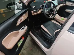2025 BYD Seagull 305km Vitality — фото 12