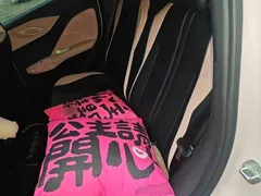 2025 BYD Seagull 305km Vitality — фото 13