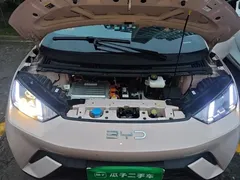 2025 BYD Seagull 305km Vitality — фото 16