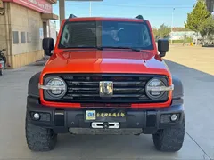 2021 Tank 300 Off-road 2.0T Conqueror — фото 2